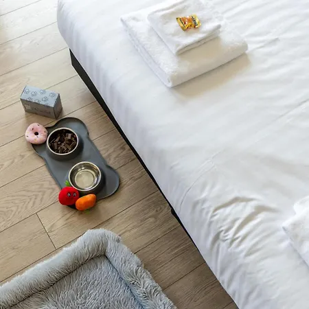 卡斯特尔酒店 酒店 3*