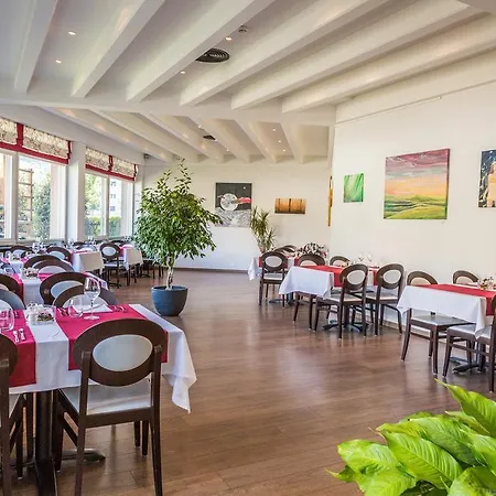Castel Otel Sion